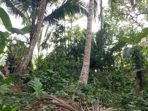 Furnished 4bdrm House in Mirigama for sale