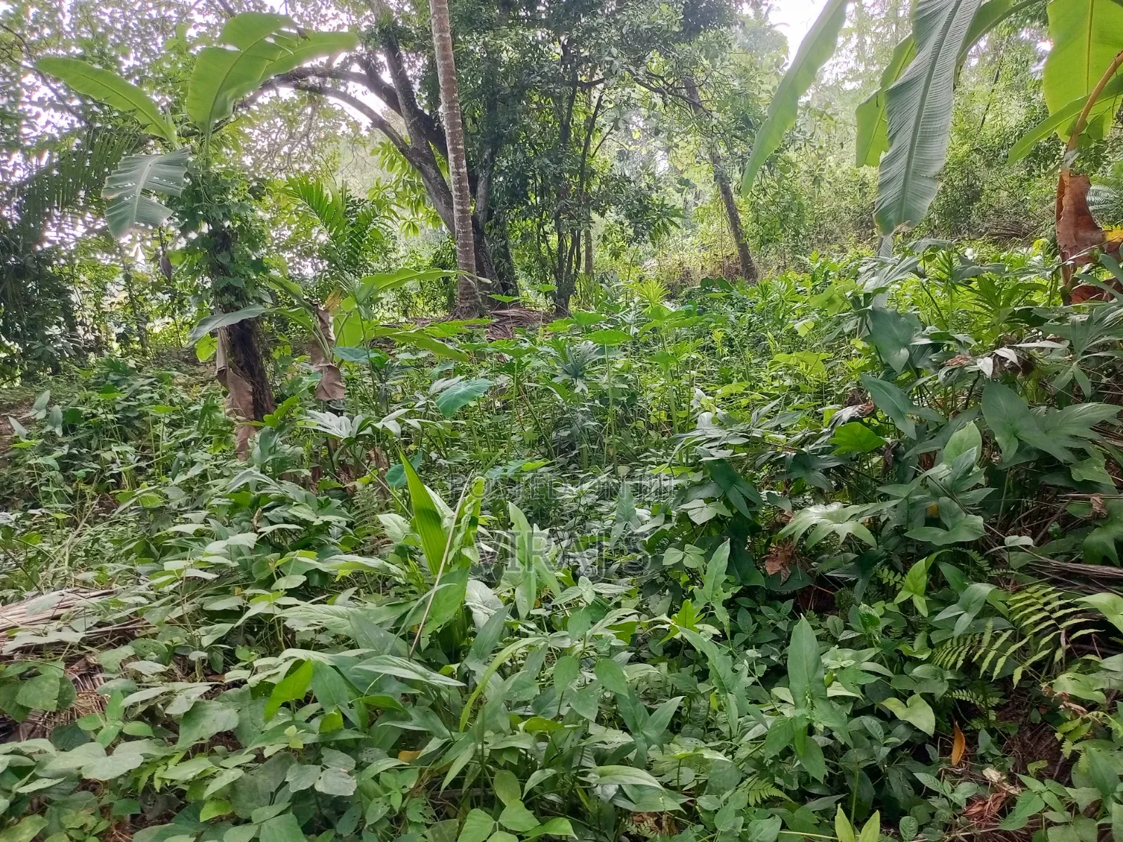 Furnished 4bdrm House in Mirigama for sale