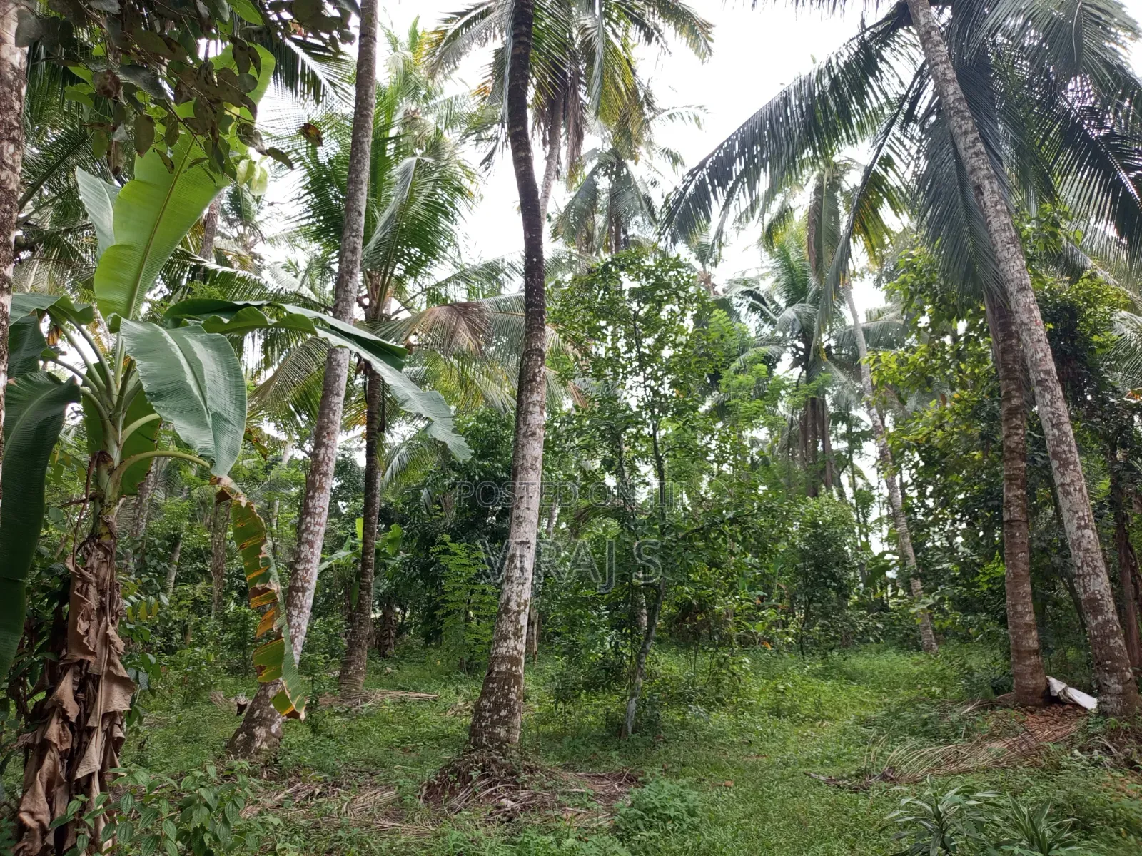 Furnished 4bdrm House in Mirigama for sale