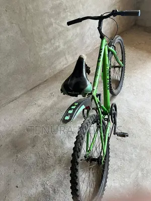 Dsi Bicycle