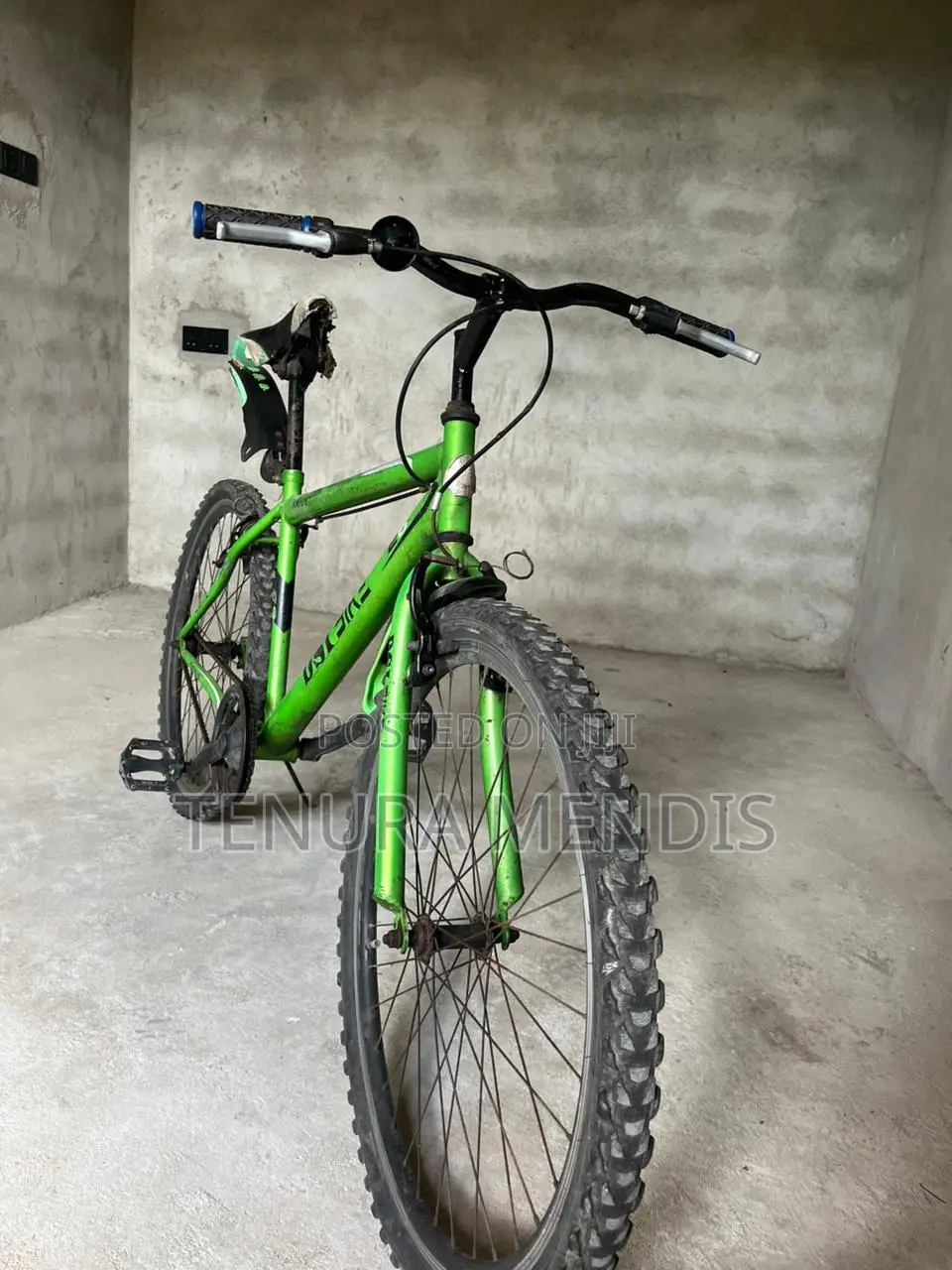 Dsi Bicycle