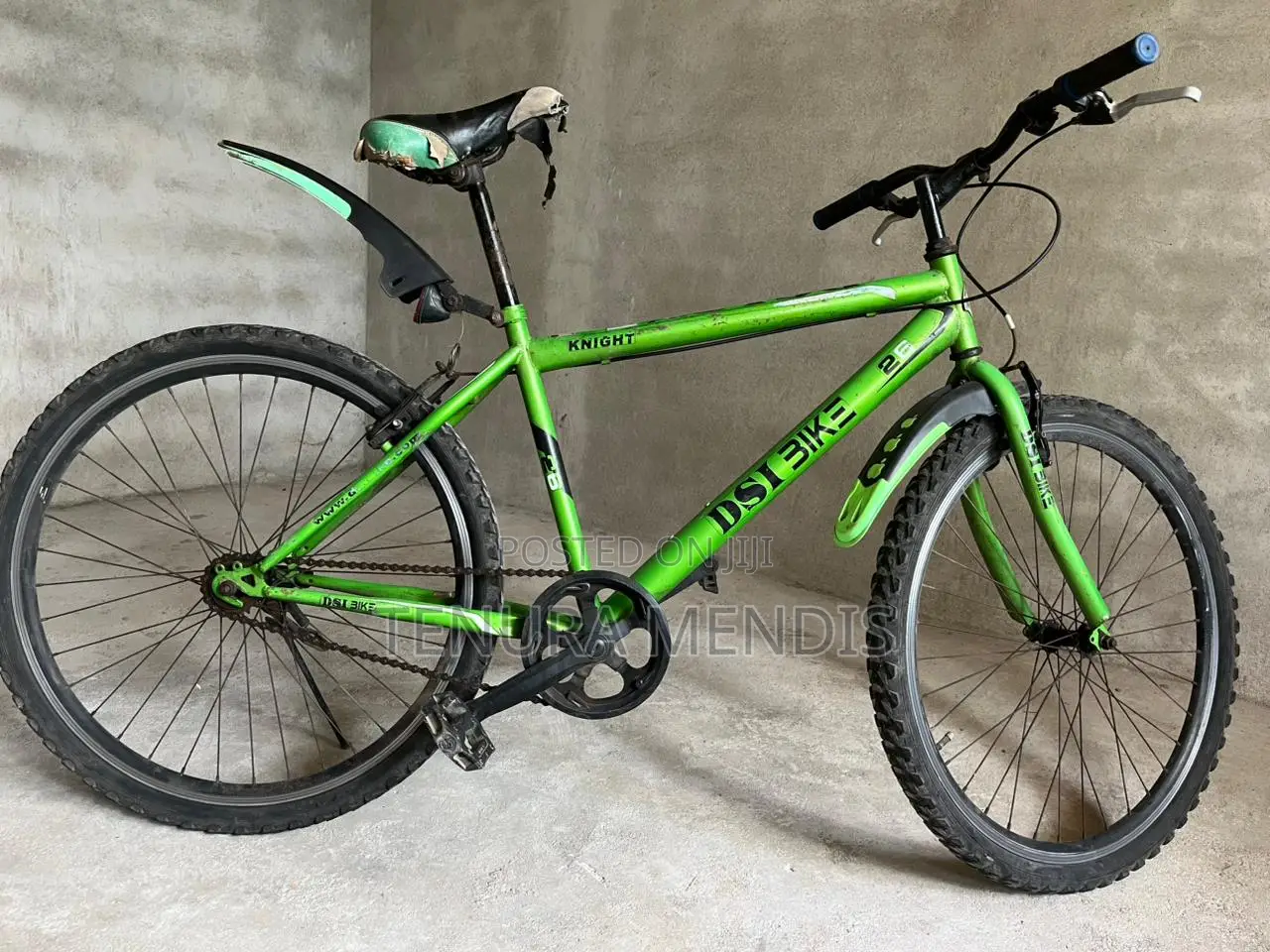 Dsi Bicycle