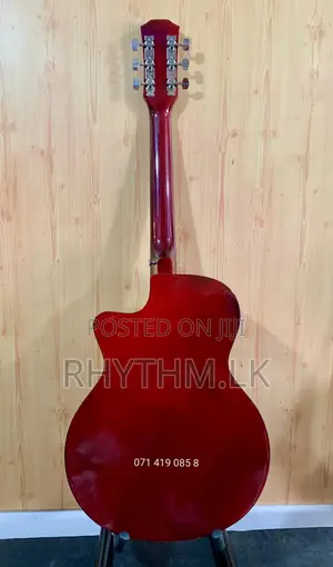 Brand New Acoustic Guitars (Size 38") for the Lowest Price in Sl