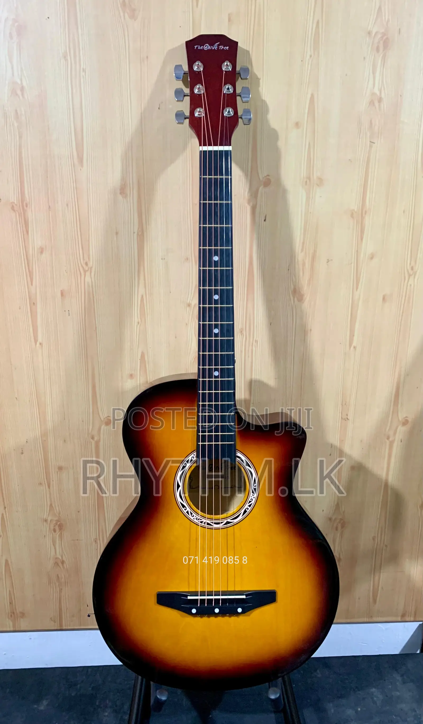 Brand New Acoustic Guitars (Size 38") for the Lowest Price in Sl