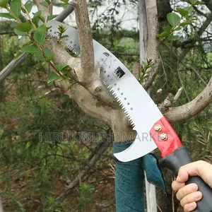 Double Side Pruning Handsaw