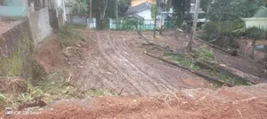 Kadawatha Idamak Wikineemata