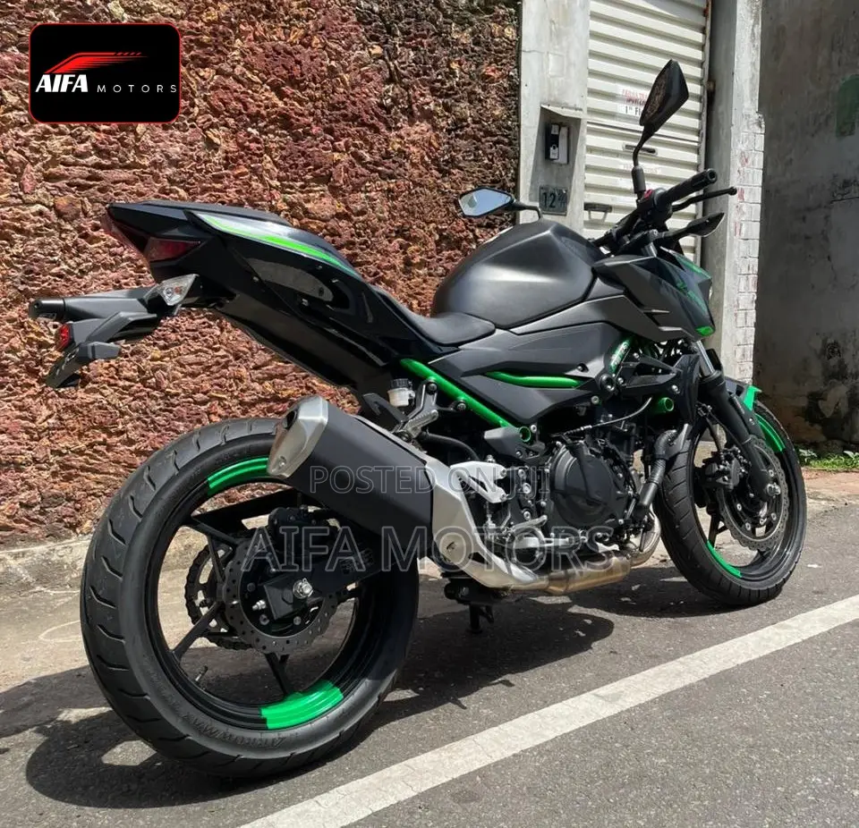 New Kawasaki 2025 Gray