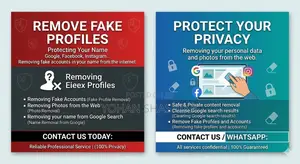 Internet/Google Content Removal Service