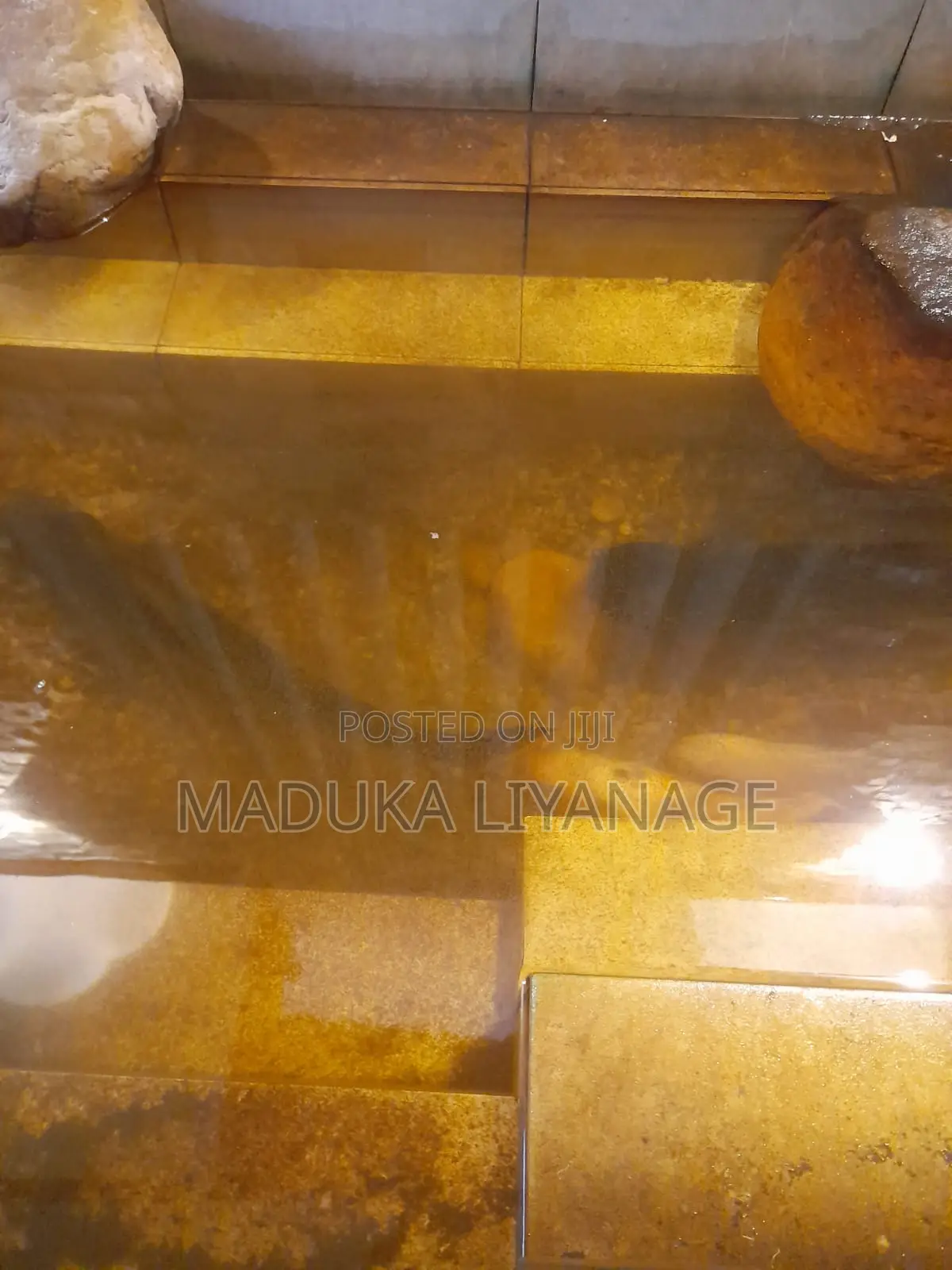 2 Cat Fish for Free - 12 Inches