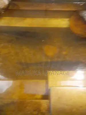 2 Cat Fish for Free - 12 Inches