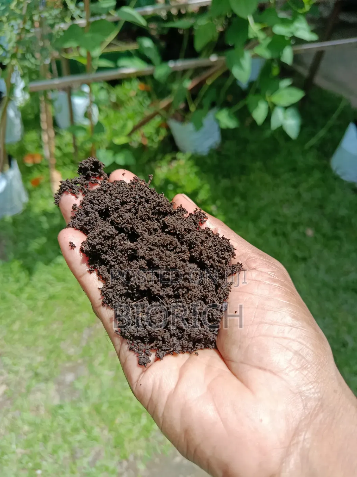 Vermicompost හෙවත් ගැඩිවිලි පනු පොහොර