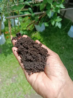 Vermicompost හෙවත් ගැඩිවිලි පනු පොහොර