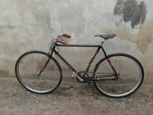 Raleigh Bicycle with New Mavc Hub