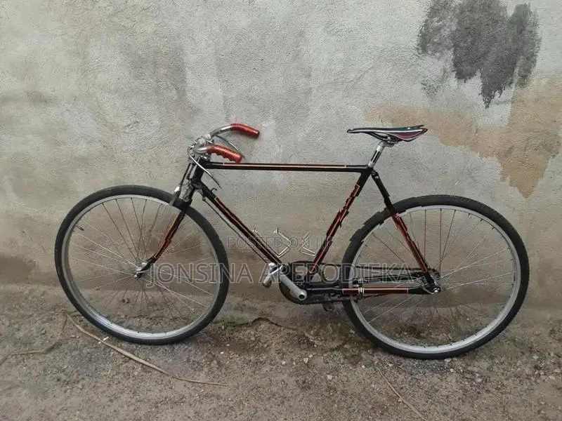 Raleigh Bicycle with New Mavc Hub