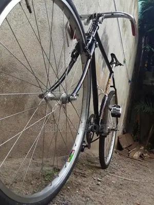 Raleigh Bicycle with New Mavc Hub