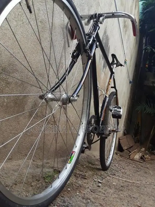 Raleigh Bicycle with New Mavc Hub