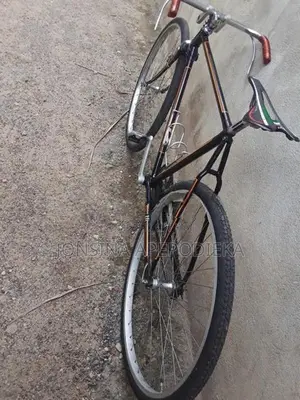 Raleigh Bicycle with New Mavc Hub
