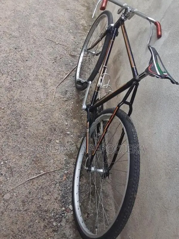 Raleigh Bicycle with New Mavc Hub