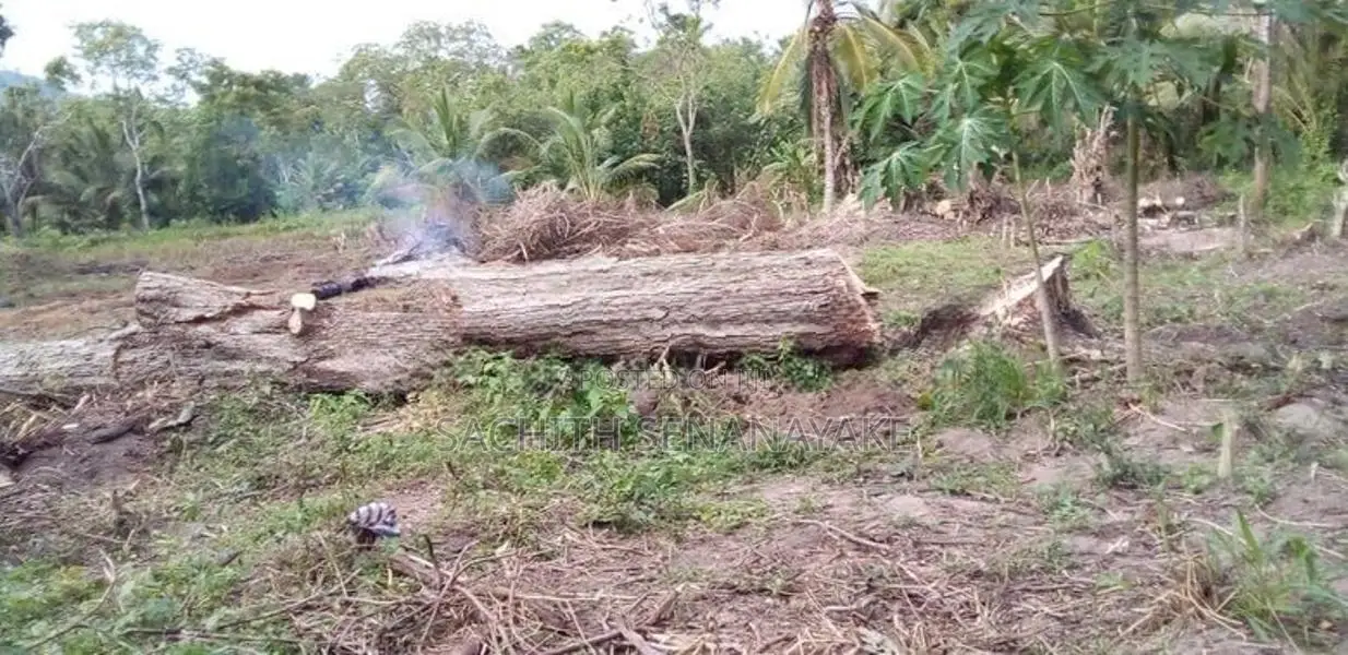 Land for Sale - Kurunegala