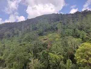Land Sale in Kalawana, Weddagala