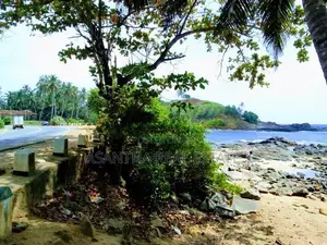 (LD109) Beach Front 175 P Land Sale At Talalla Matara