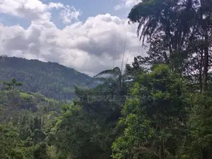 Land Sale in Kalawana, Weddagala