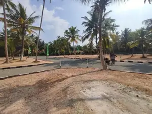 මීගමුවෙන් පදිංචියට කියාපු ඉඩමක්