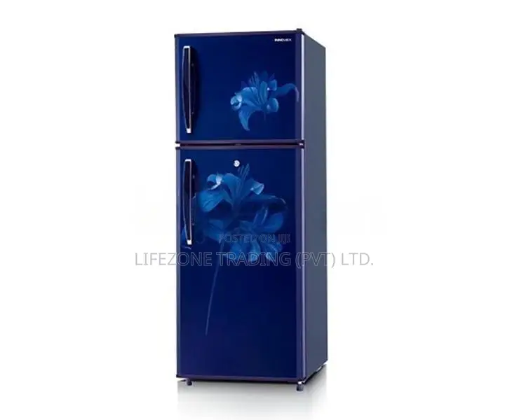 250L Innovex No Frost Refrigerator (DDN240)