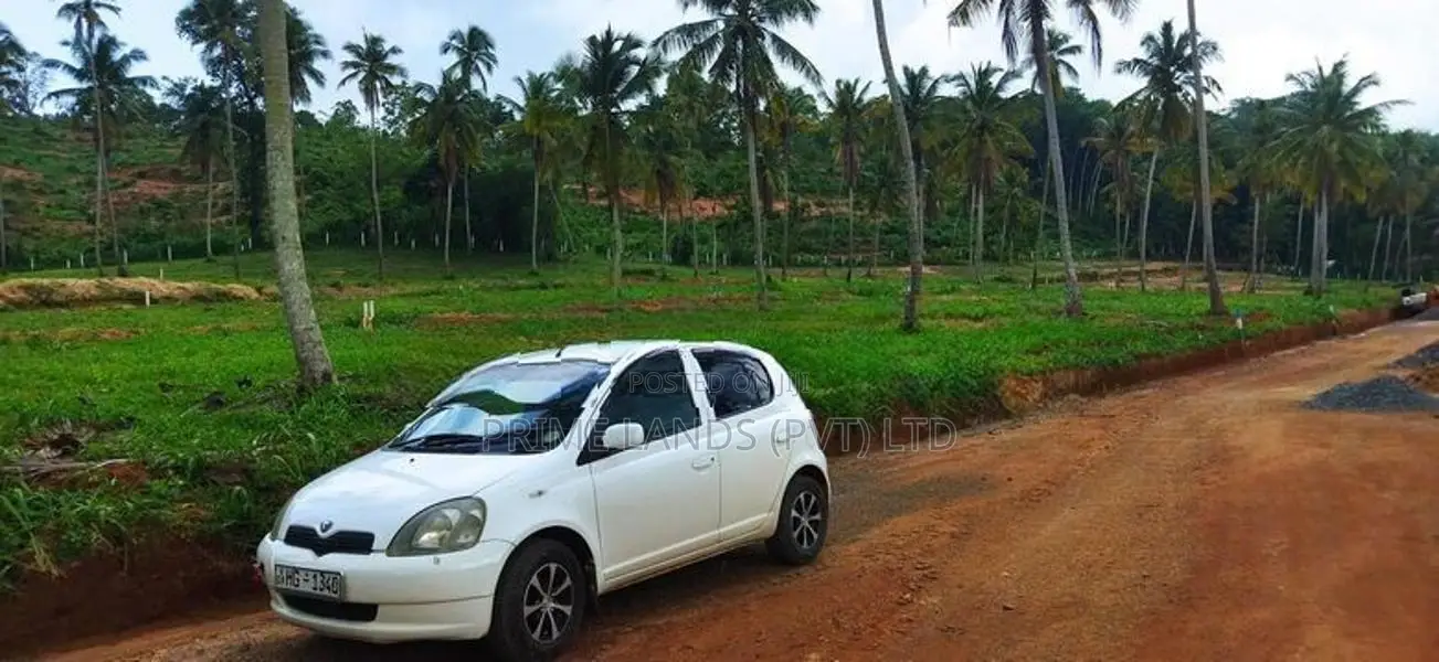 මීගමු පාරට ලගින් නාරම්මල ඉඩම