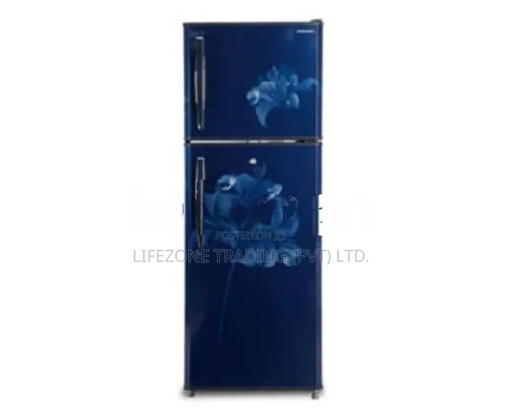 250L Innovex No Frost Refrigerator (DDN240)