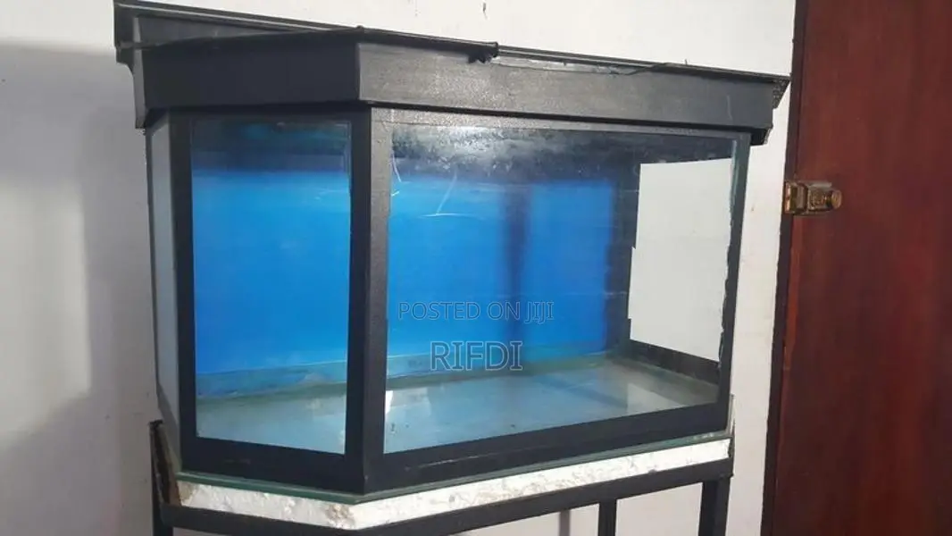 Fish Tank with Stand and Roof