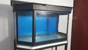 Fish Tank with Stand and Roof