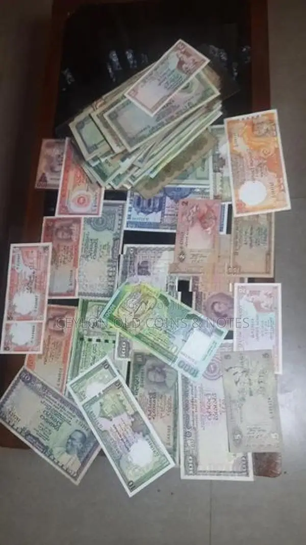 Old Notes