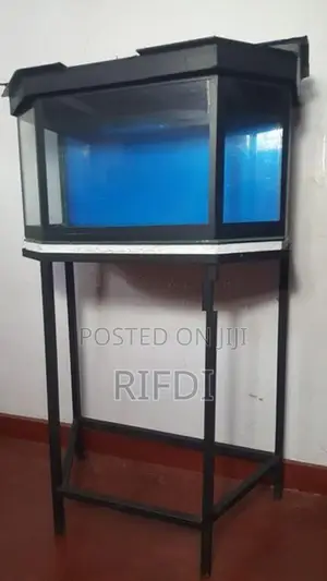 Fish Tank with Stand and Roof