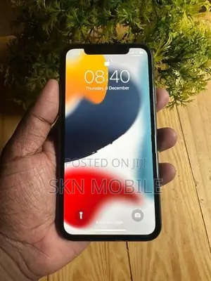 Apple iPhone 11 256GB (Used)