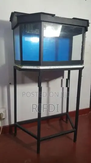 Fish Tank with Stand and Roof