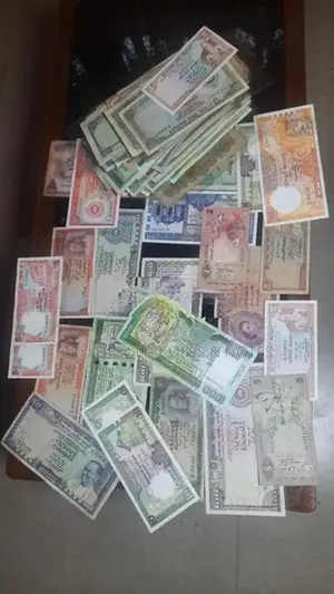 Old Notes