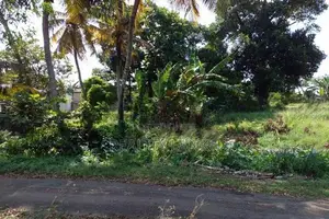 Land for Sale (code 3517) Kelaniya