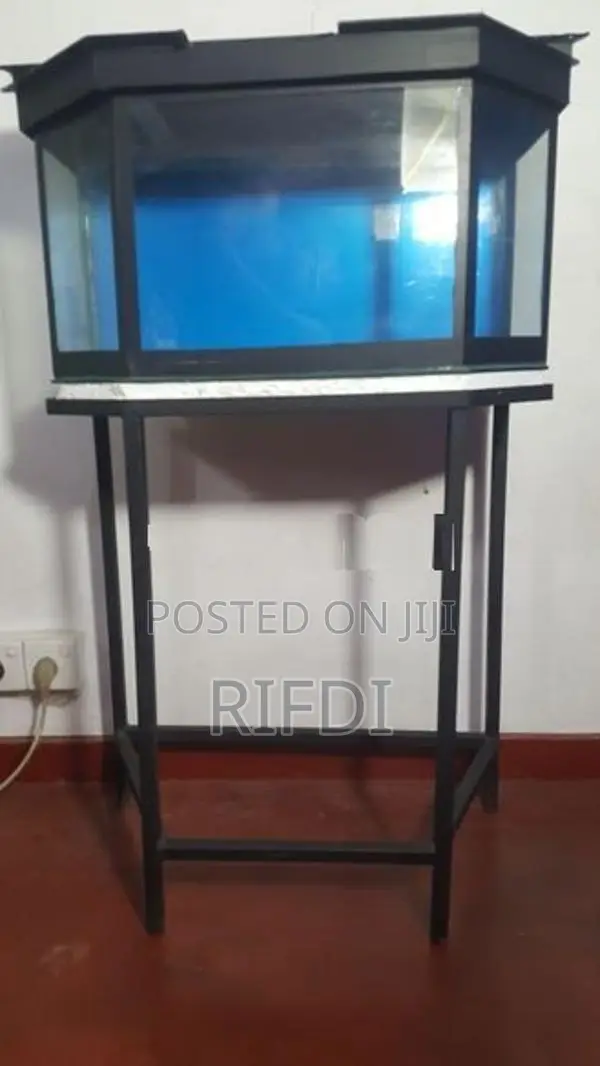 Fish Tank with Stand and Roof