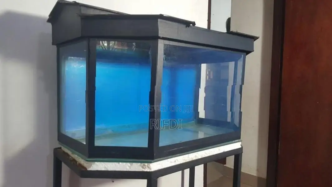 Fish Tank with Stand and Roof