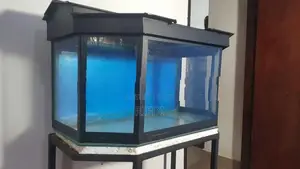 Fish Tank with Stand and Roof