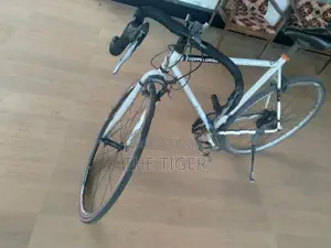 10 Speed Bicycle