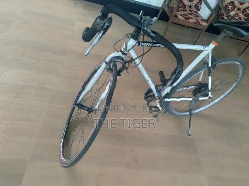 10 Speed Bicycle