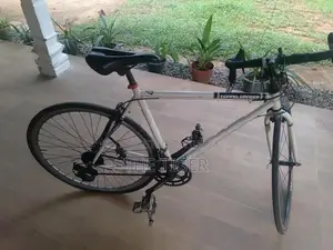 10 Speed Bicycle