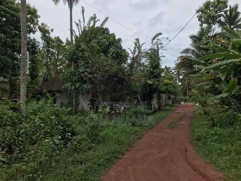 Land for Sale Dunagaha