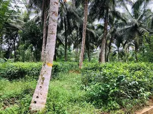 බිම්කොටස් විකිණීමට බන්ඩාරගම