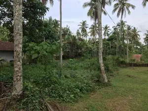 Land for Sale Dunagaha