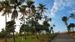 රාගම නගරයෙන් බිම් කොටස් විකිණීමට