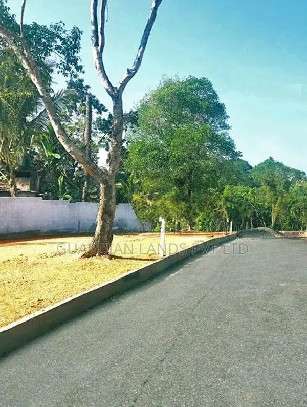 Exclusive Bear Land Plots Piliyandala