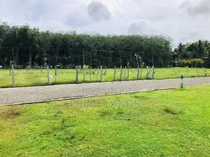 මිල්ලනිය නගරය